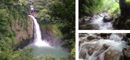 選ばれた土地だけに生まれる名水